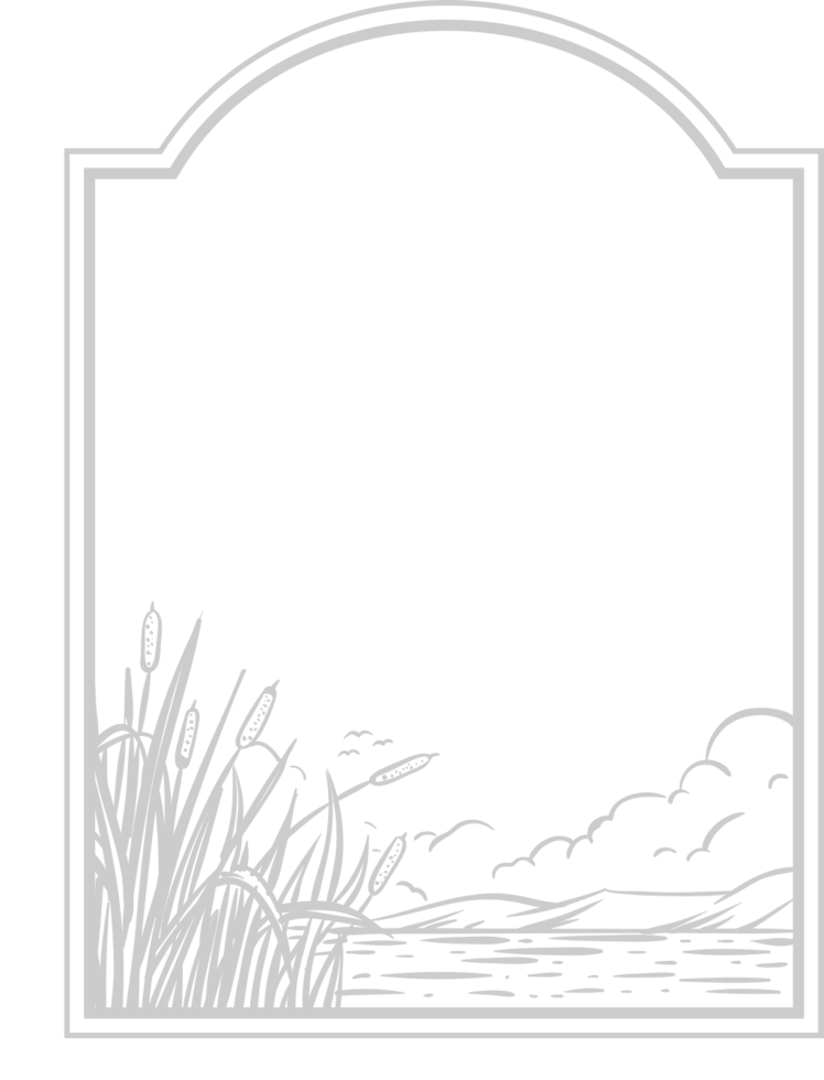 Cattails Badge vector