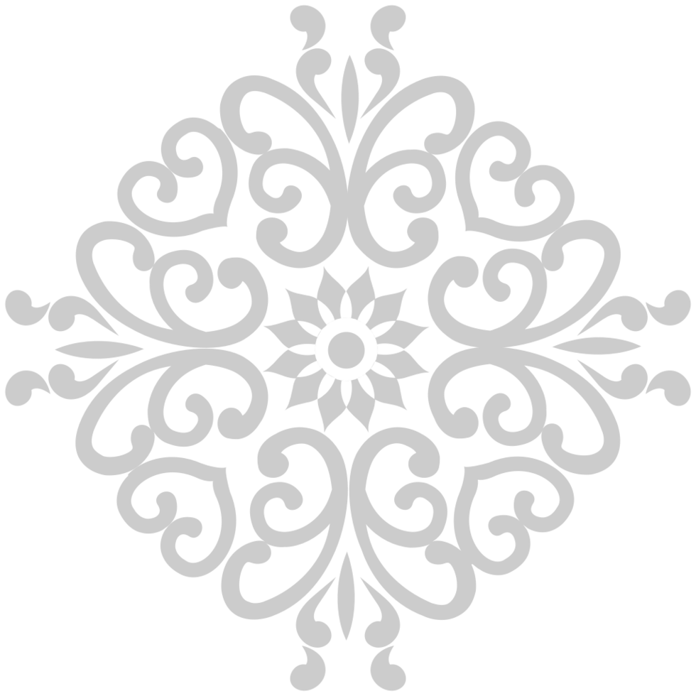 Circle decoration vector