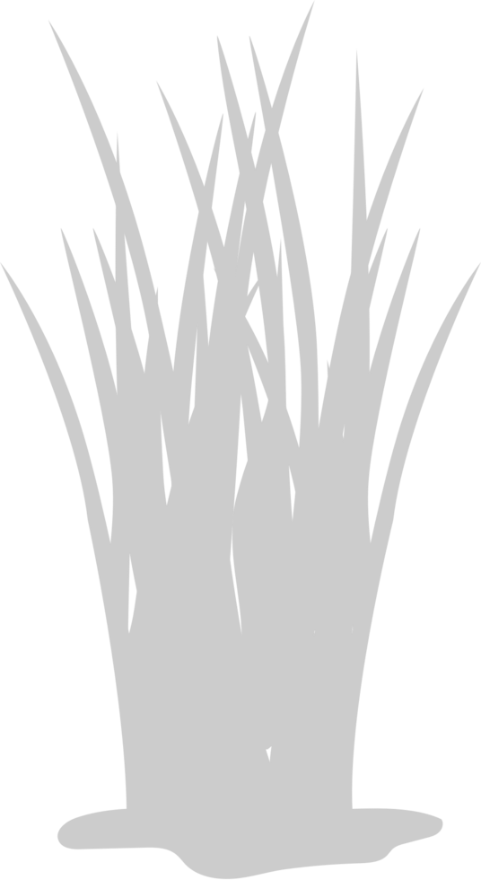 Rice vector