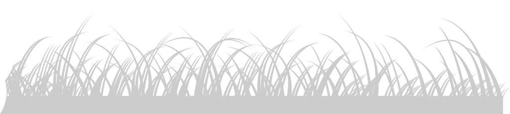 Grass vector