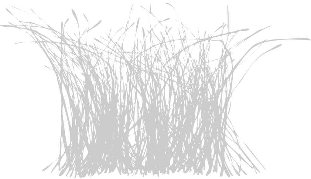 Grass vector