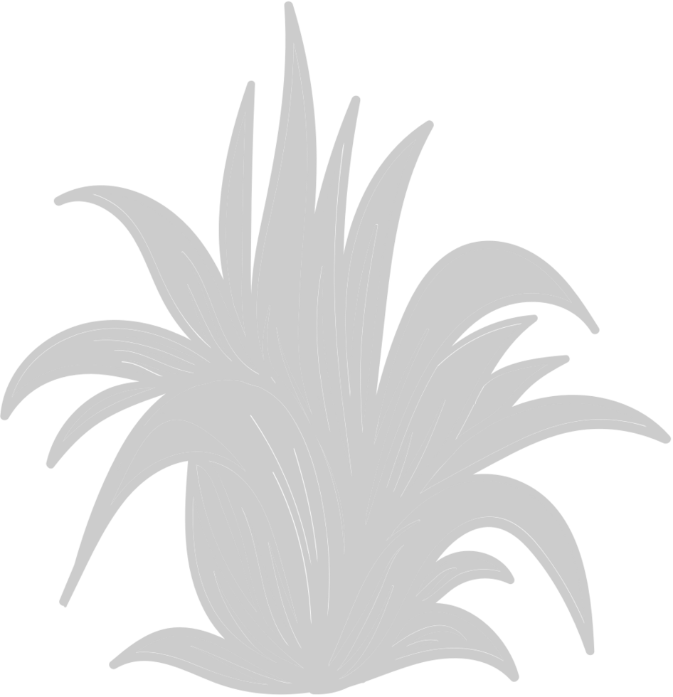 Aloe Plant vector