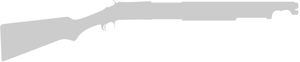 Gun vector