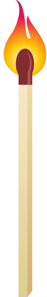 Matches on fire vector