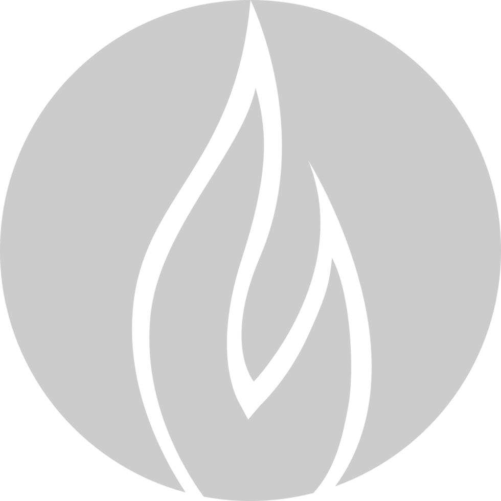 Fire logo vector