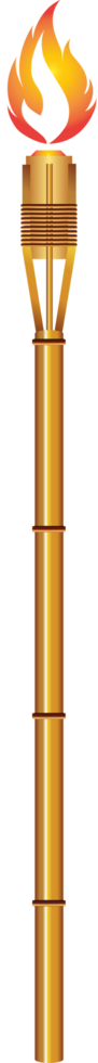 Tiki torch vector