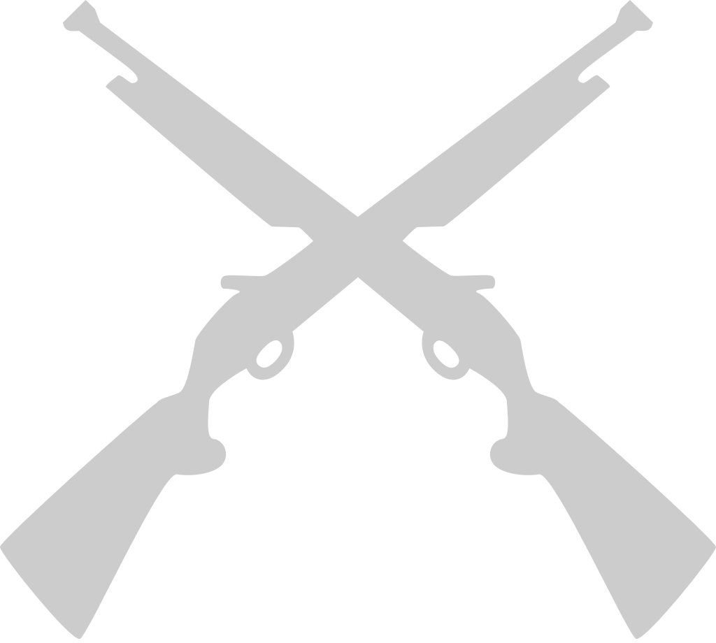 Guns vector