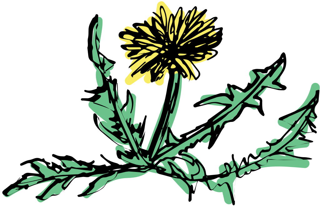 Flower vector