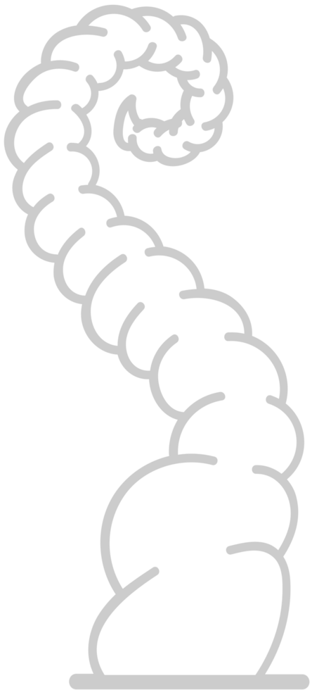Beanstalk Plant vector