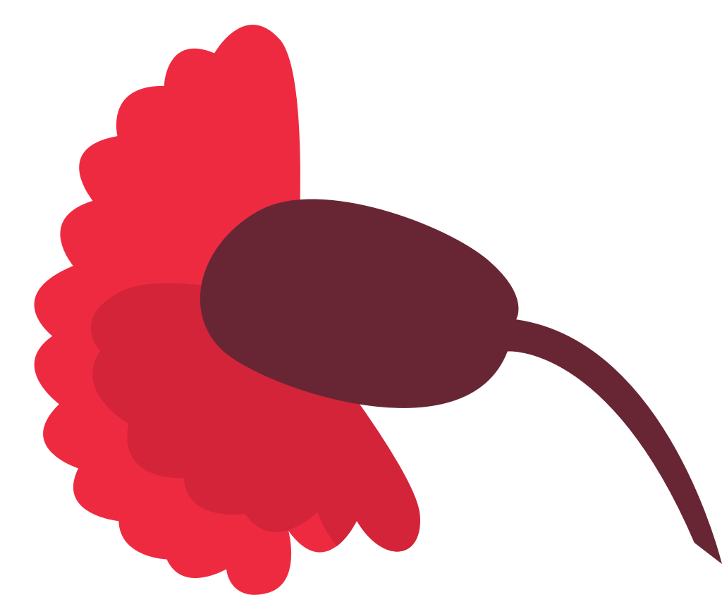 flor de clavel vector