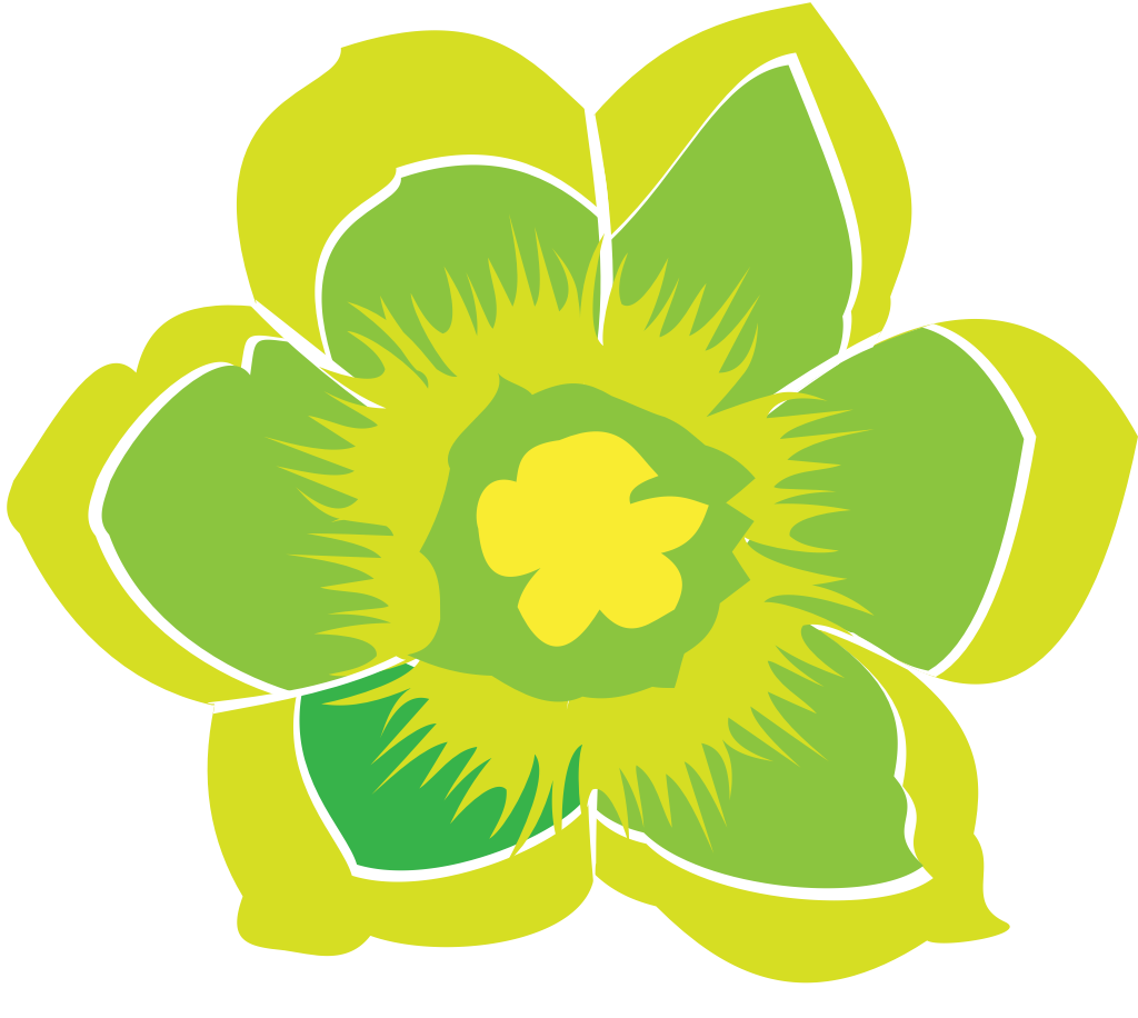 Flower vector