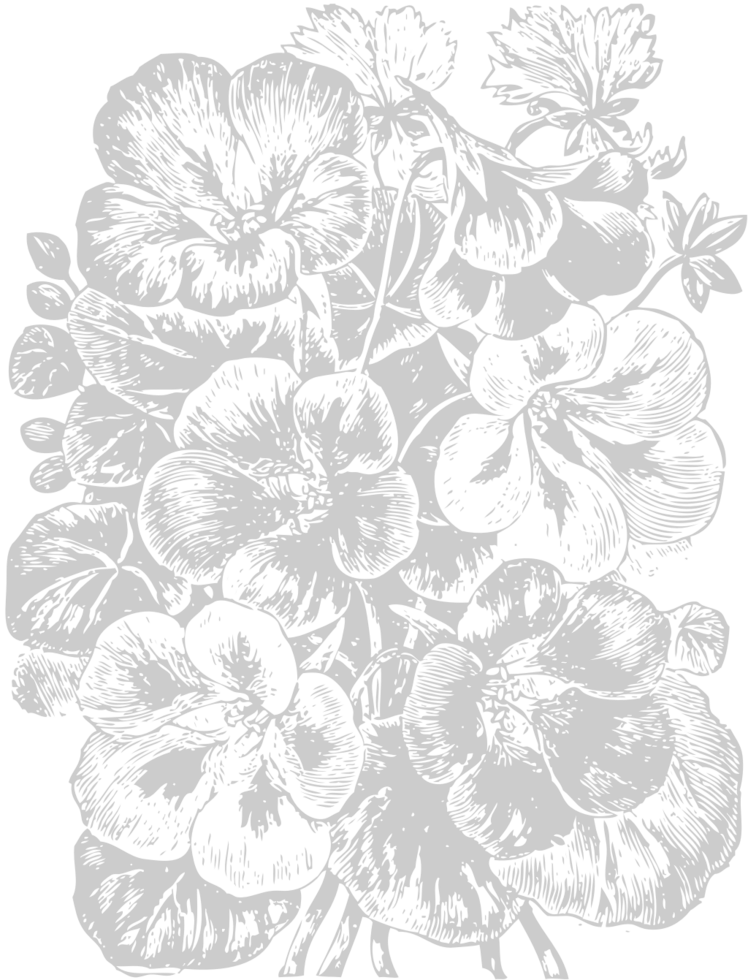 Bouquet of flowers vector