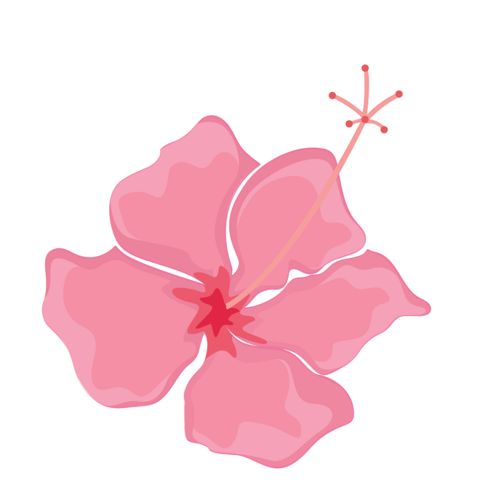 Flower polynesian 36647698 Vector Art at Vecteezy