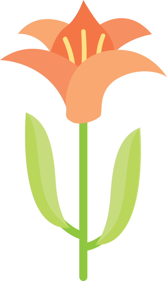 Beautiful flower vector