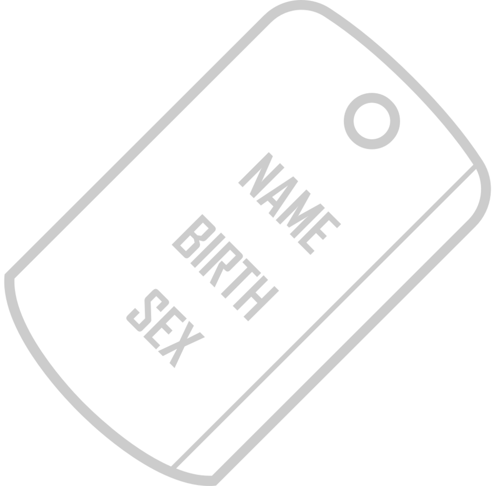 dog tags 36647943 Vector Art at Vecteezy