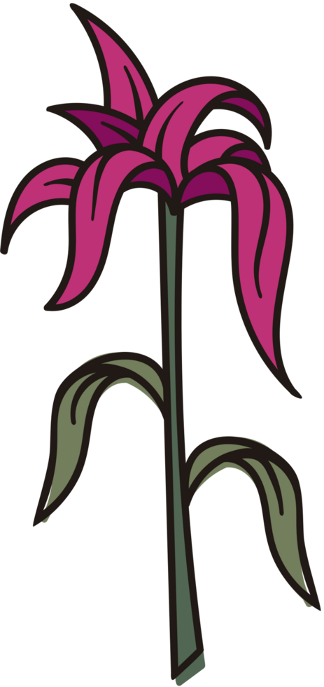 Flower  vector