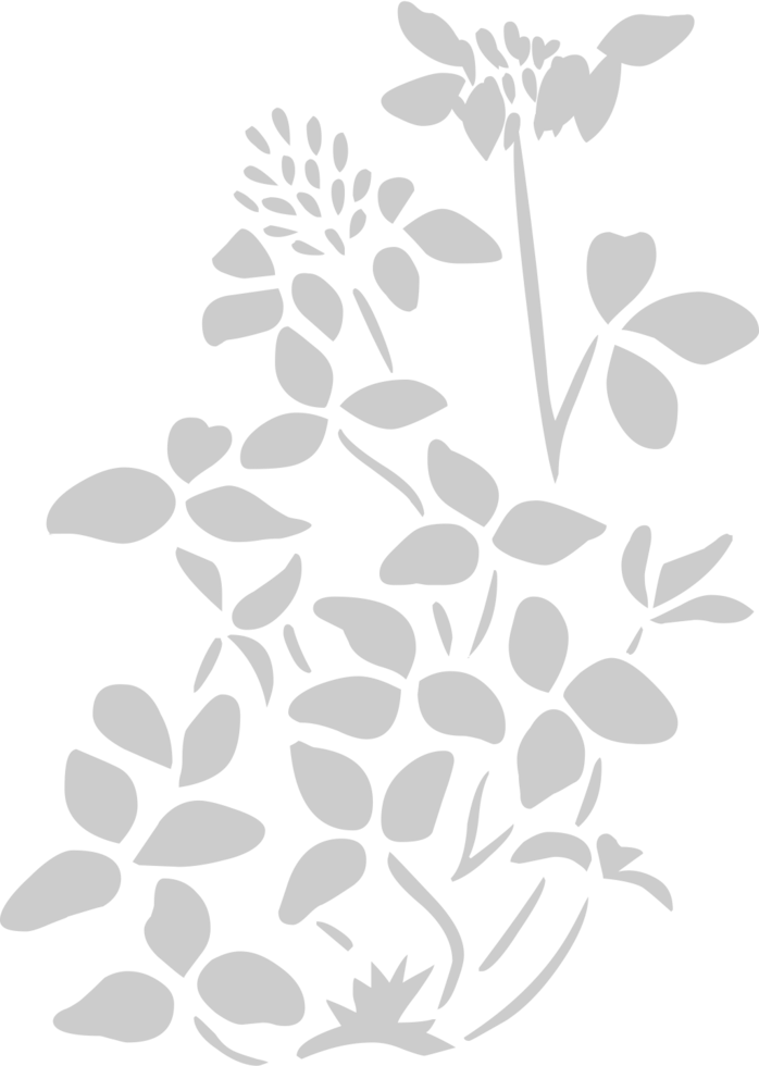 Flower vector