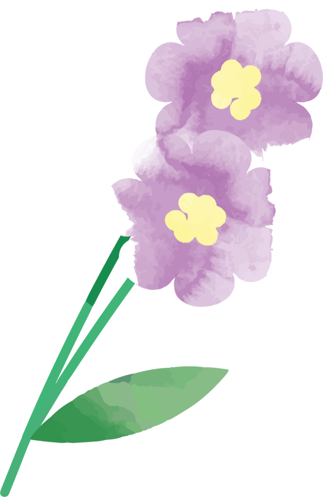 Flower water color vector
