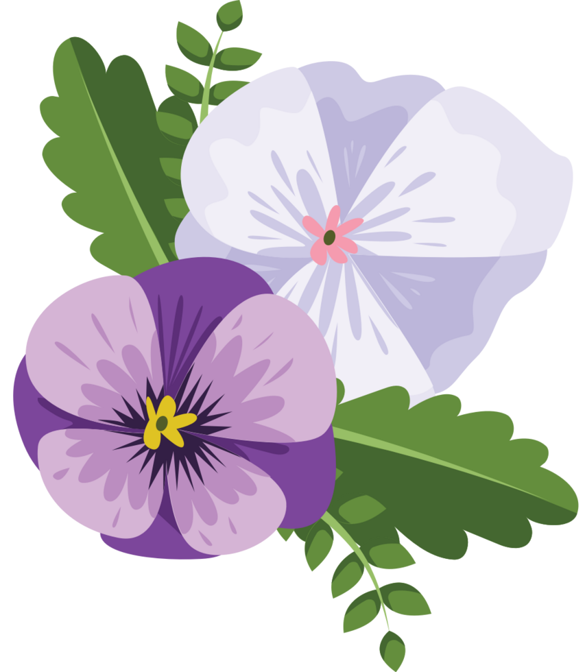 Pansy flower vector