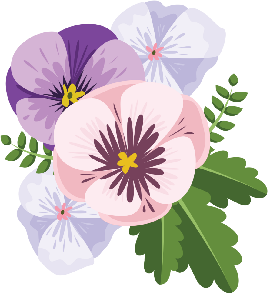 Pansy flower vector