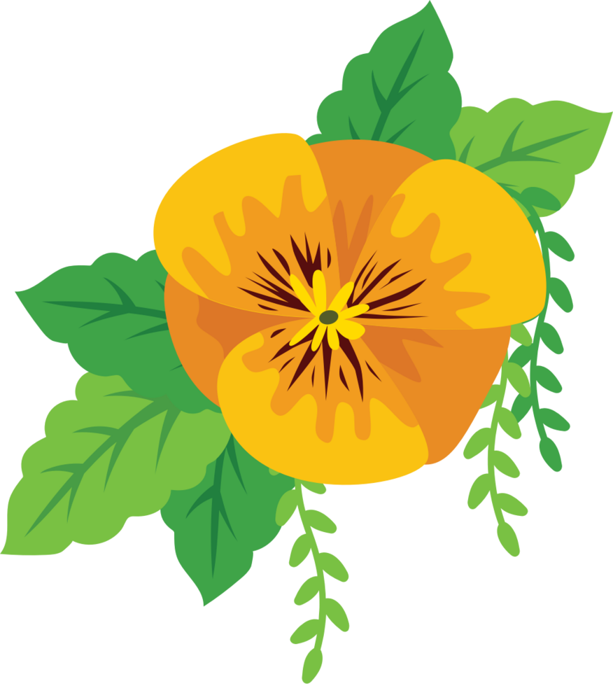 Colorful pansy flower vector
