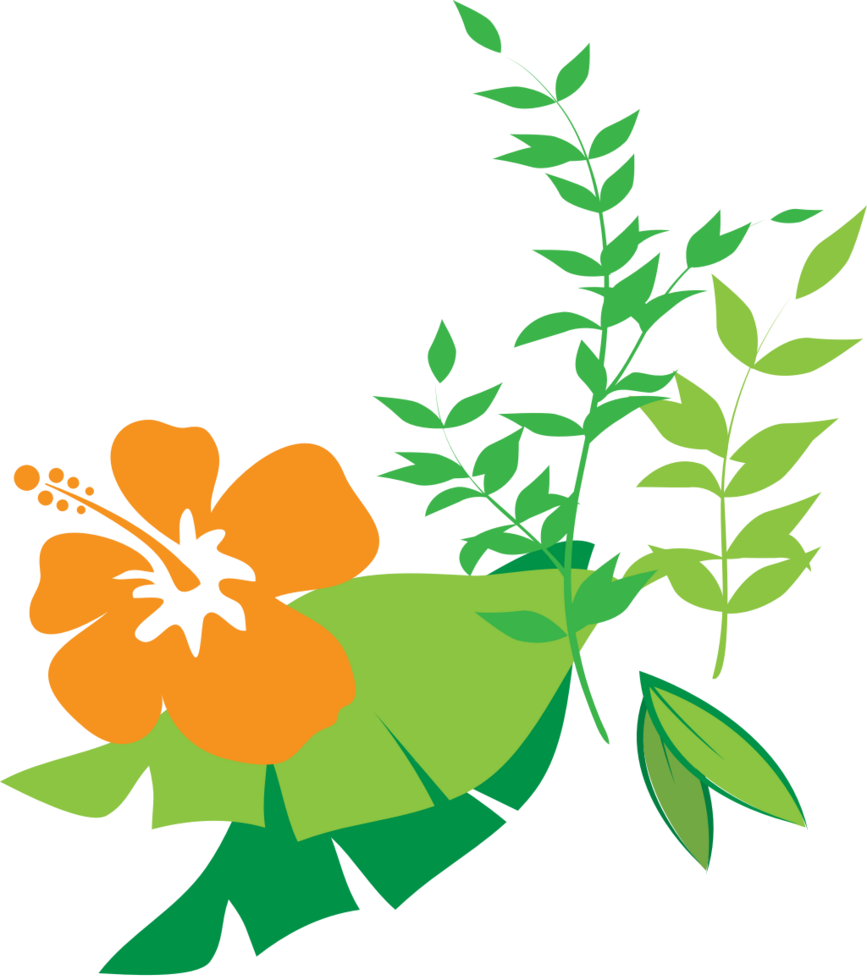 Flor Hibiscus vector