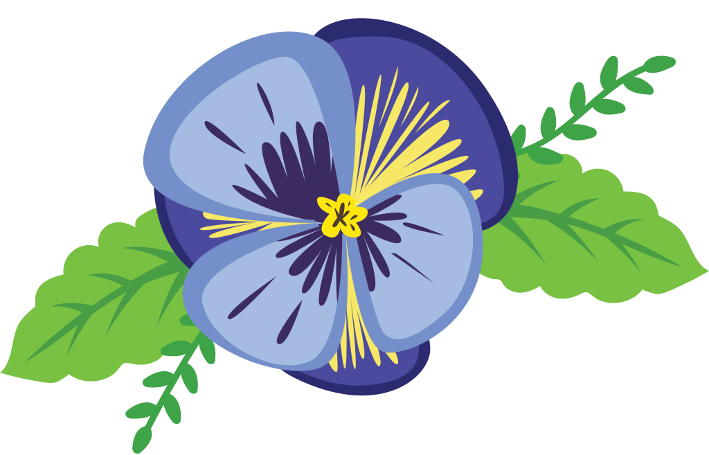 Colorful pansy flower vector