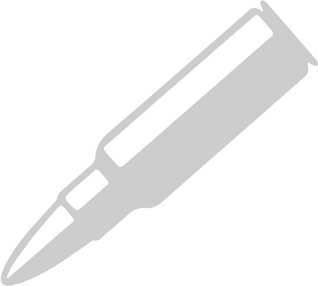 bullet vector