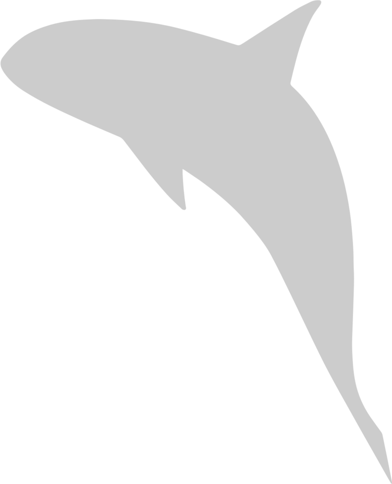 Whale vector