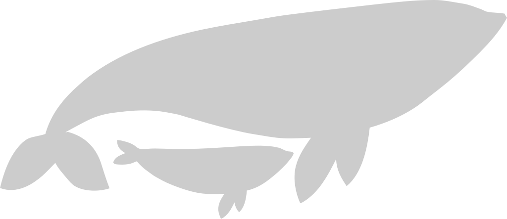 Whale vector