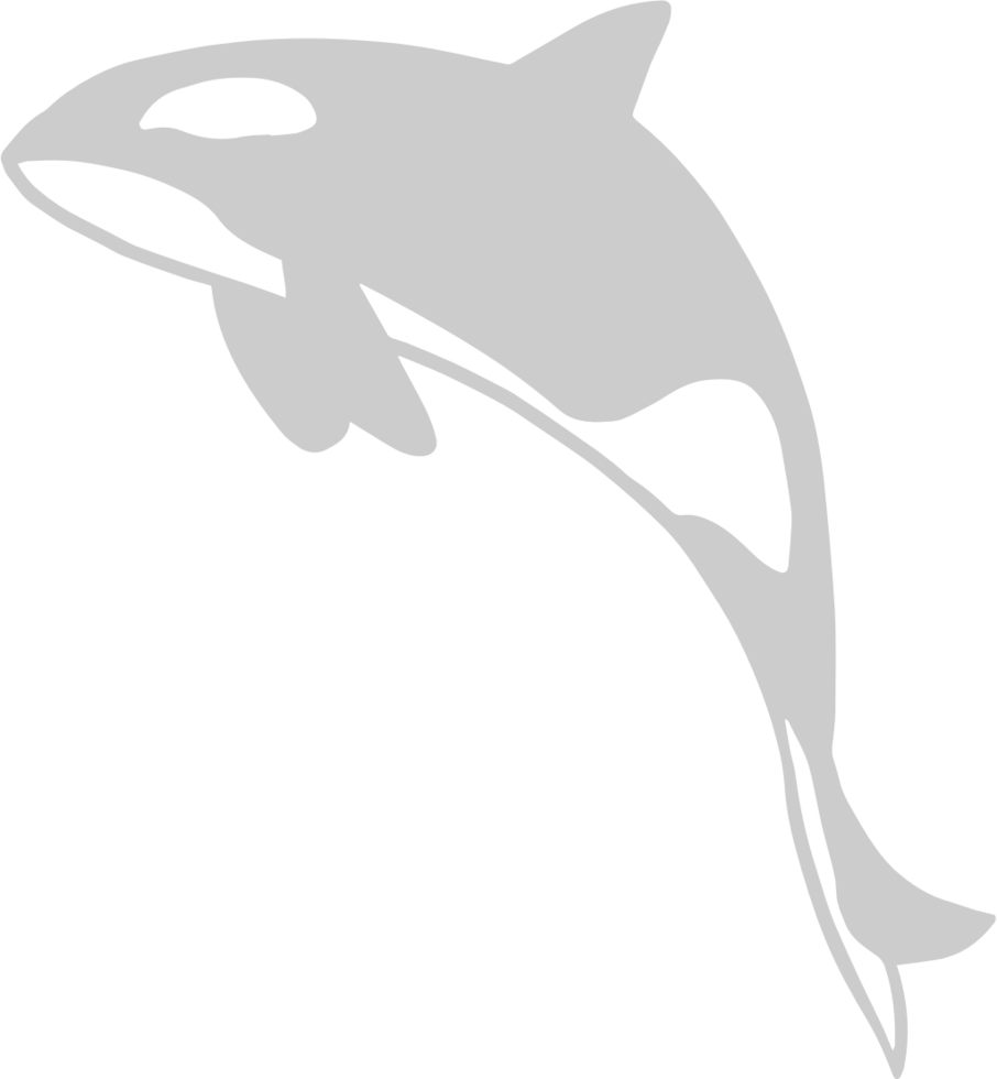 Whale vector