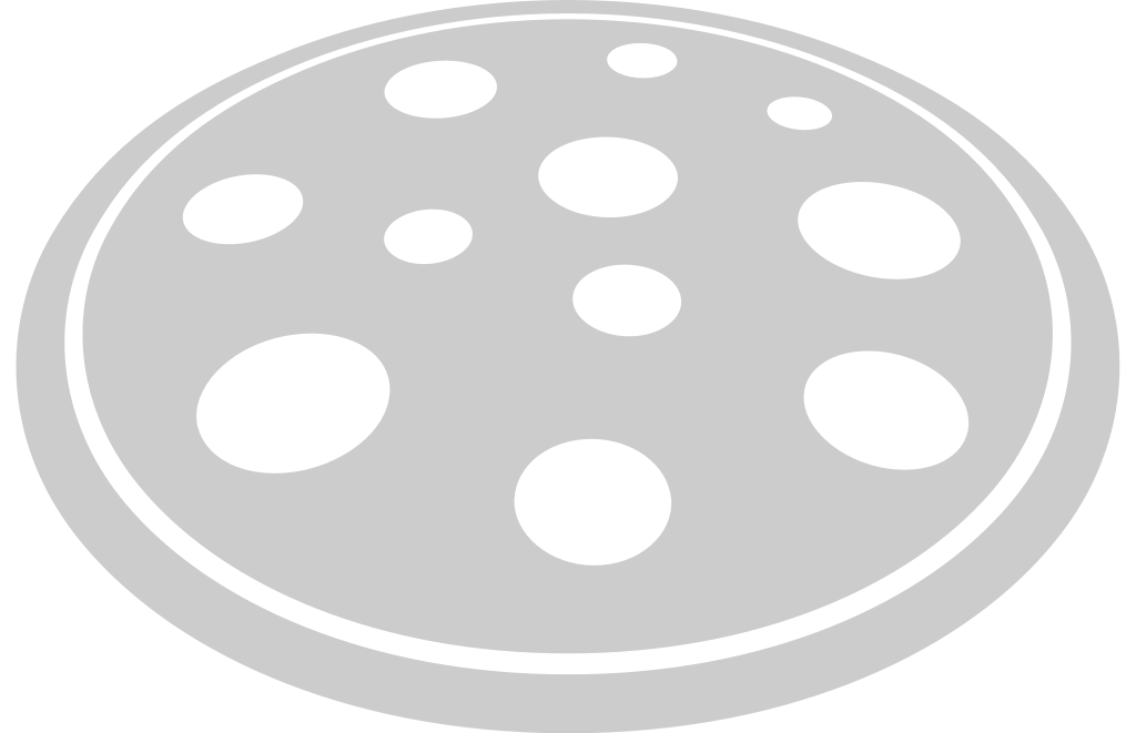 Pizza vector