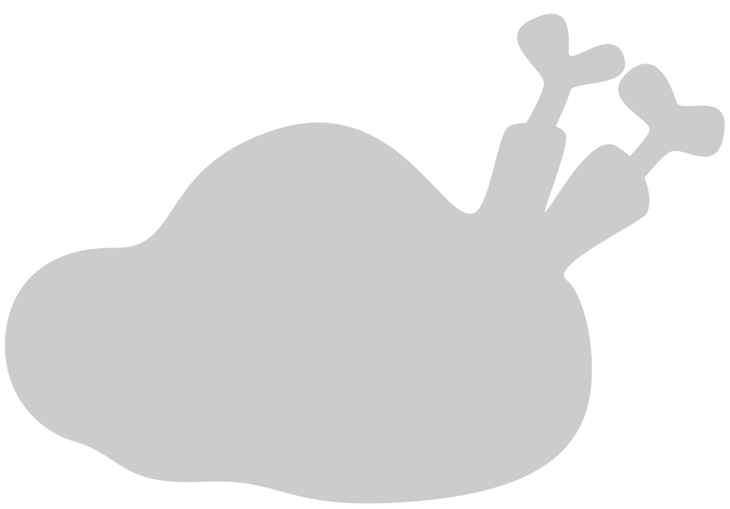 Turkey vector