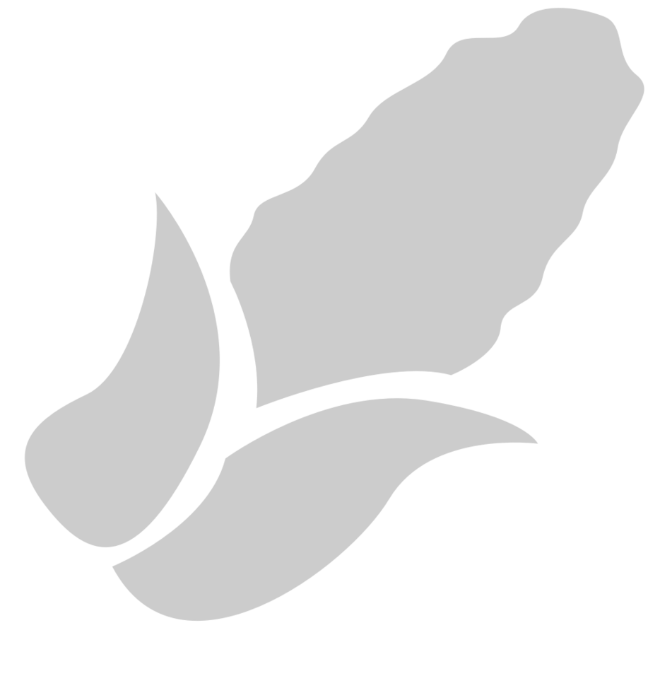 Vegetable vector