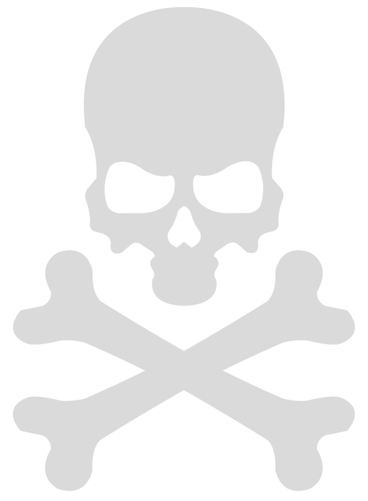 skull and bones vector