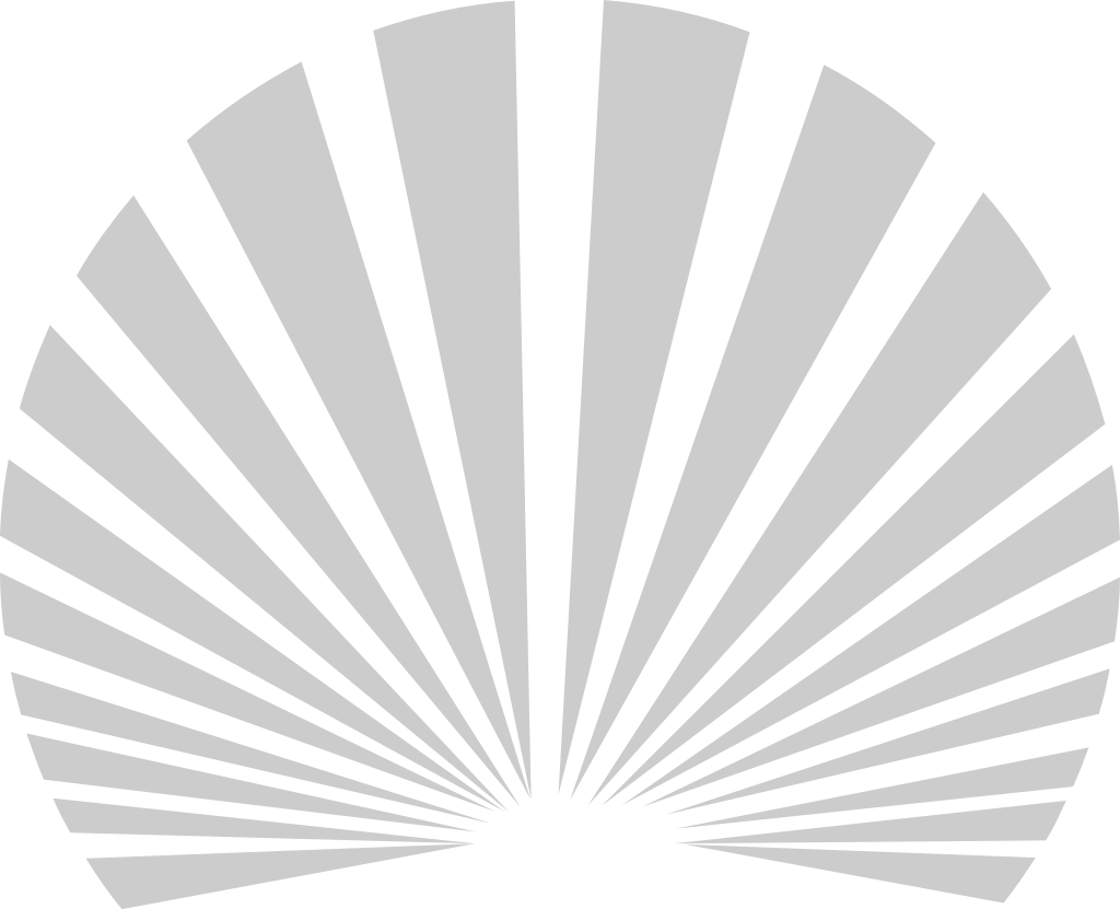 Geometric sunburst vector