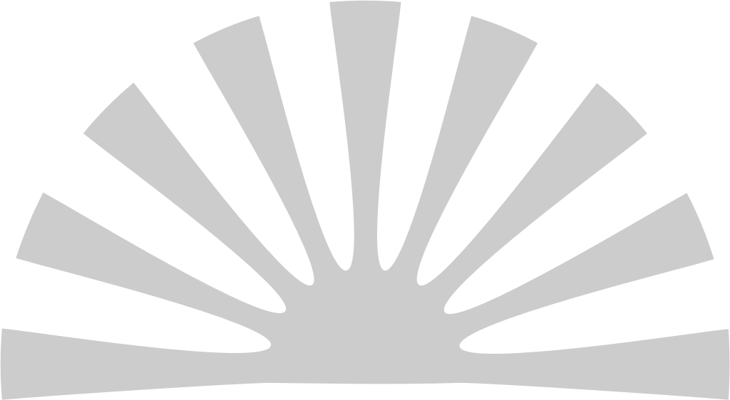 Geometric sunburst vector