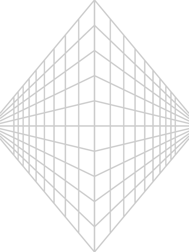Geometric wire frame line vector