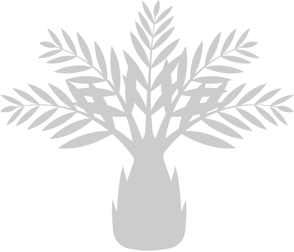 Palm Tree vector