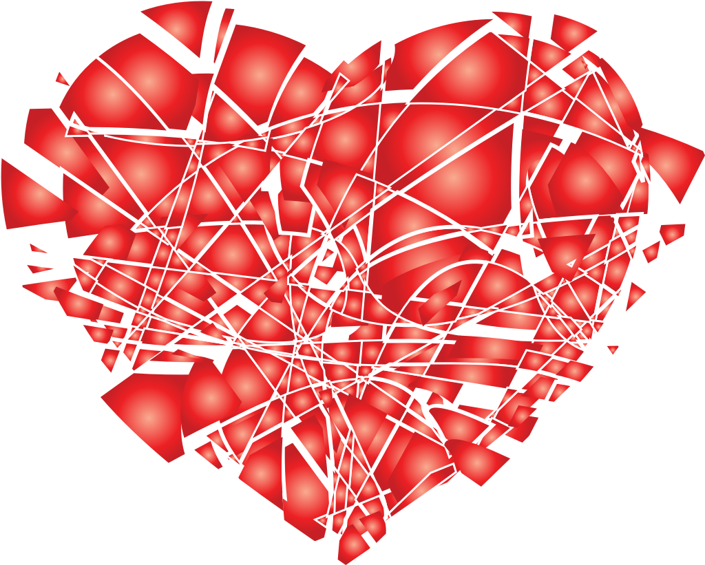Heart  vector