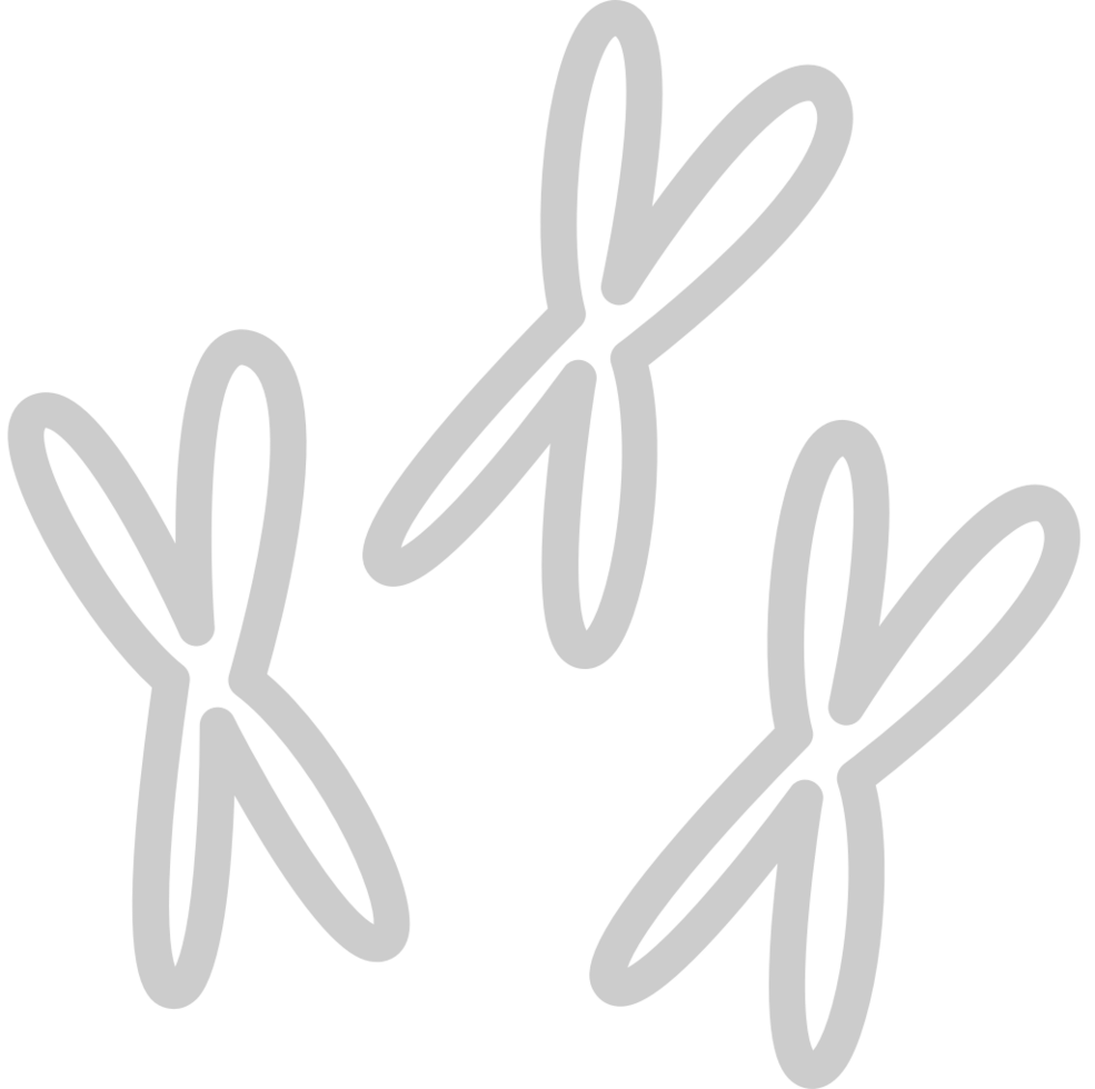Chromosome vector