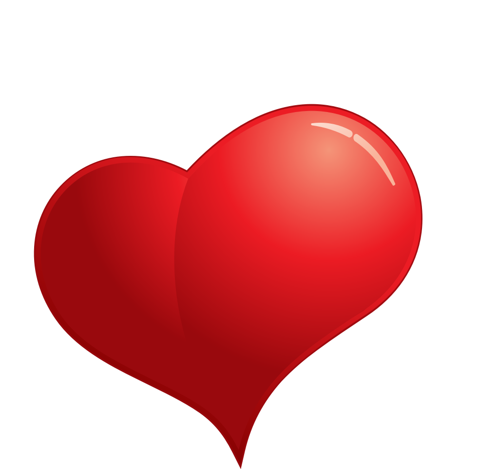 Heart  vector