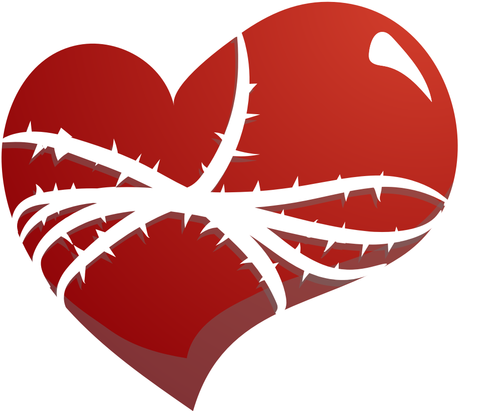 Heart  vector