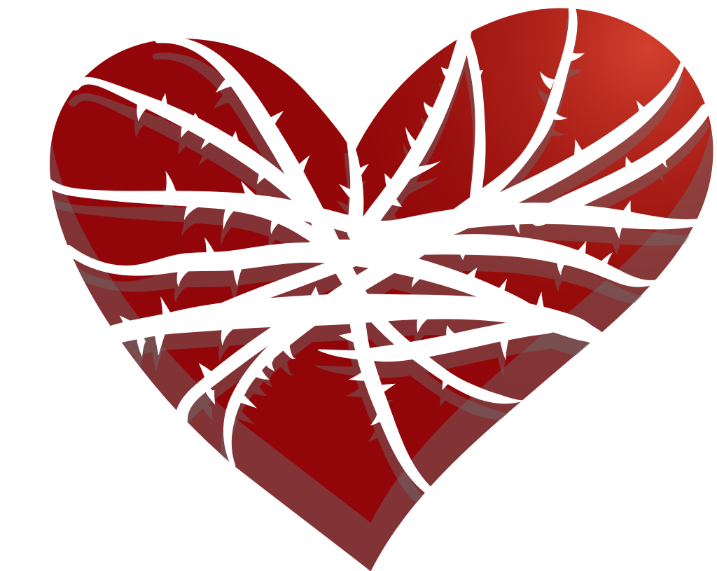 Heart  vector