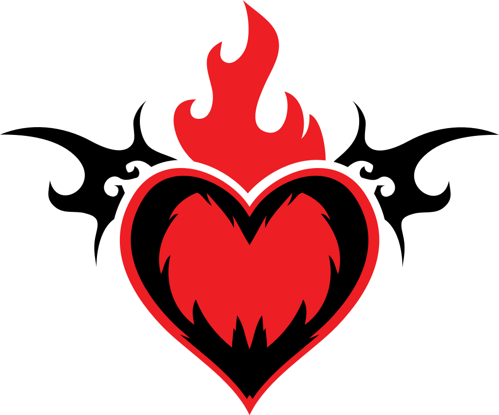 Sacred heart wing vector