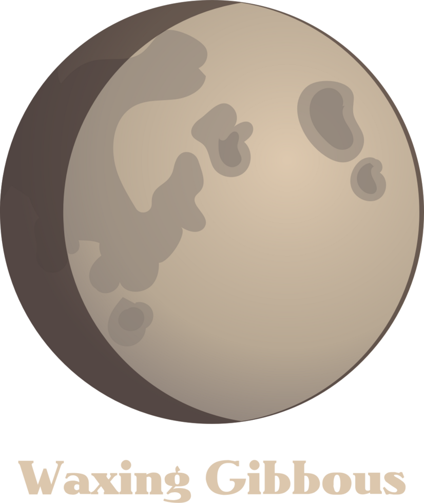 Moon phase vector