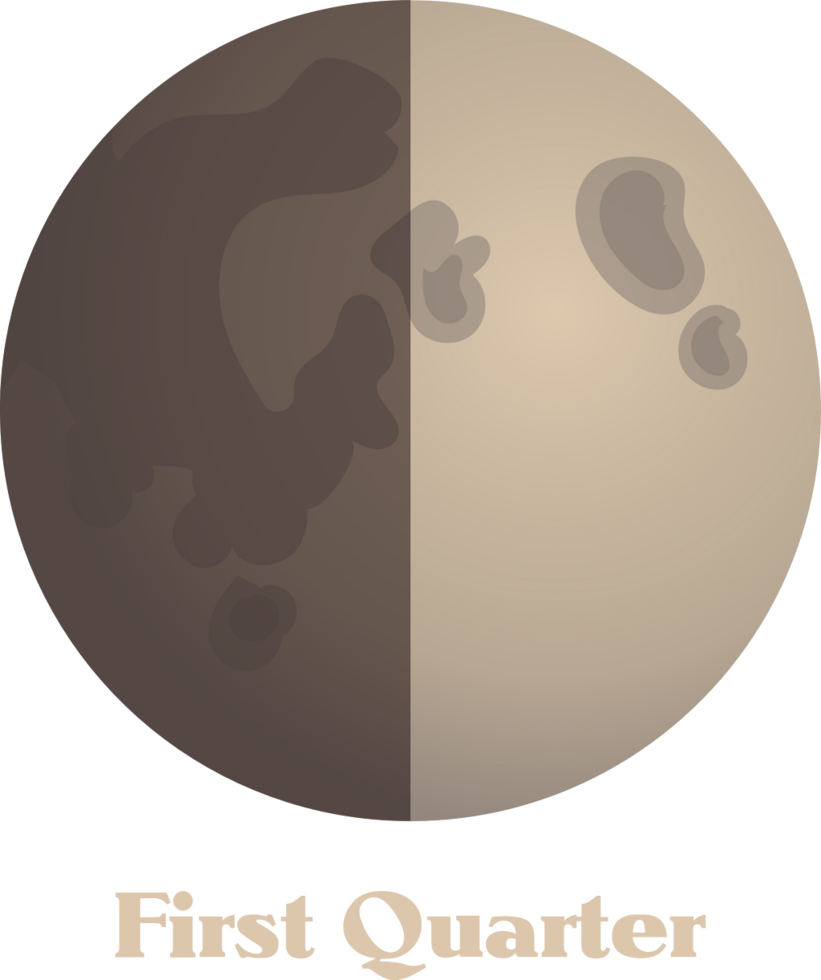Moon phase vector