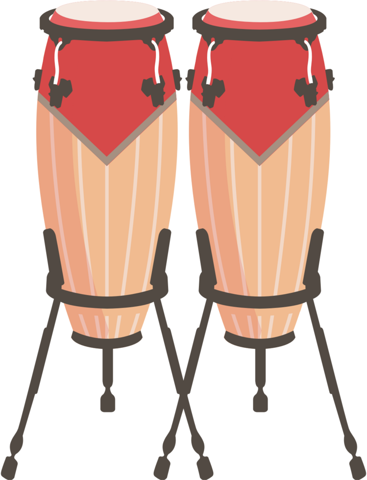 Percussion instrument conga 36651383 Vector Art at Vecteezy