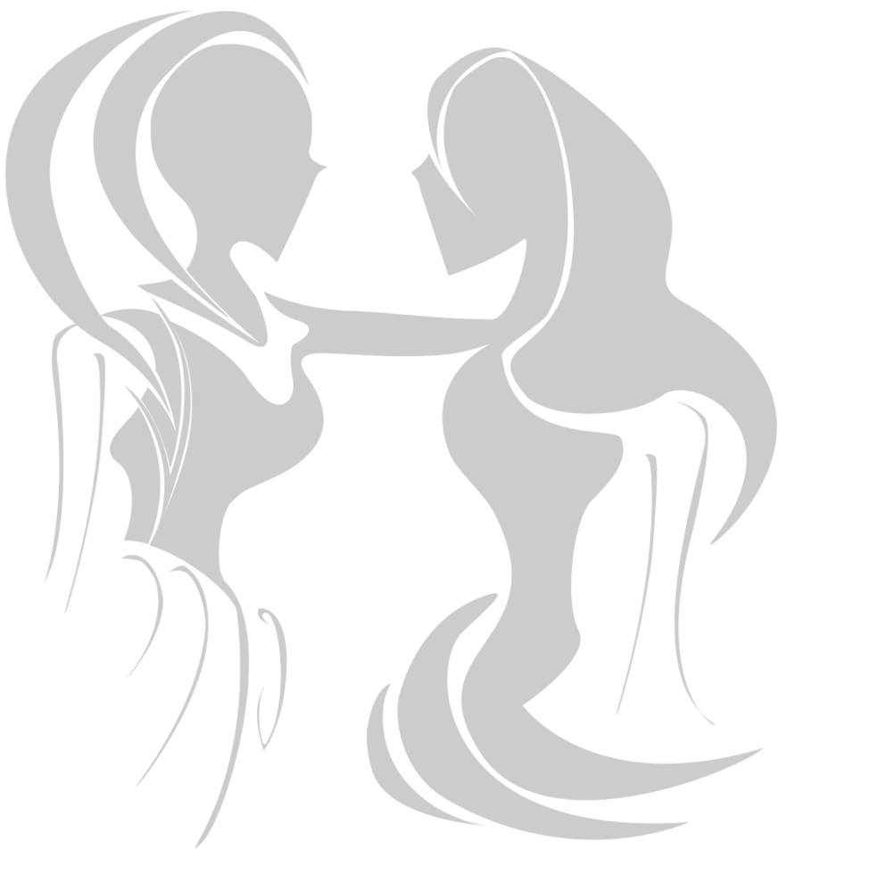 Gemini vector