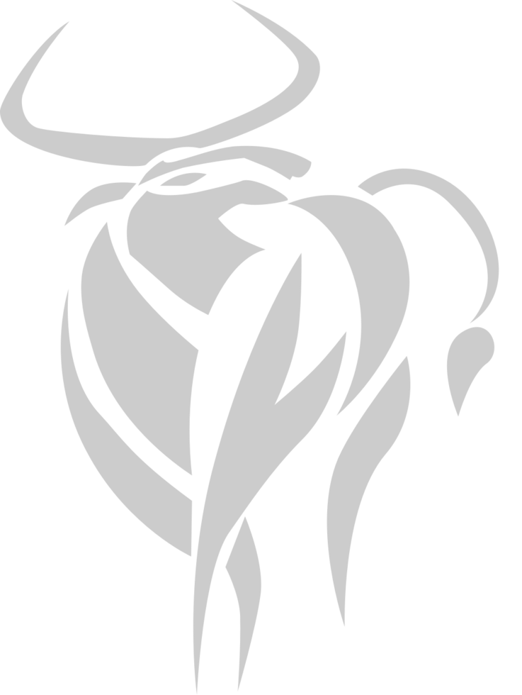 Taurus vector
